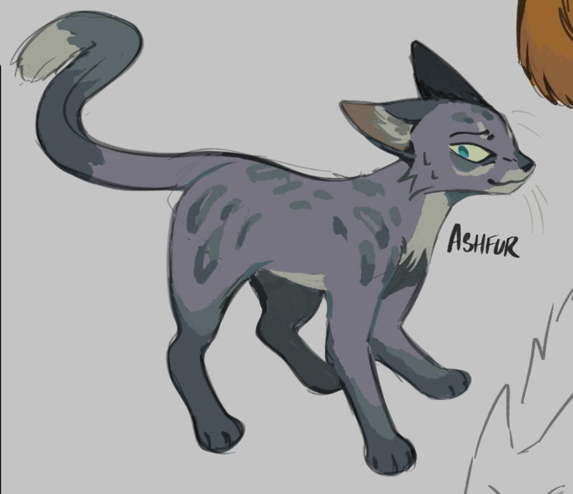 ashfur