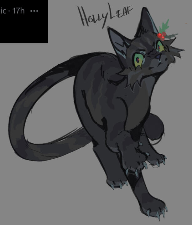 hollyleaf